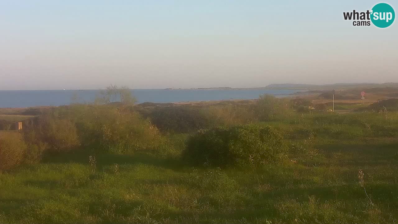 Spiaggia Mari Ermi | Is Arutas – Oristano