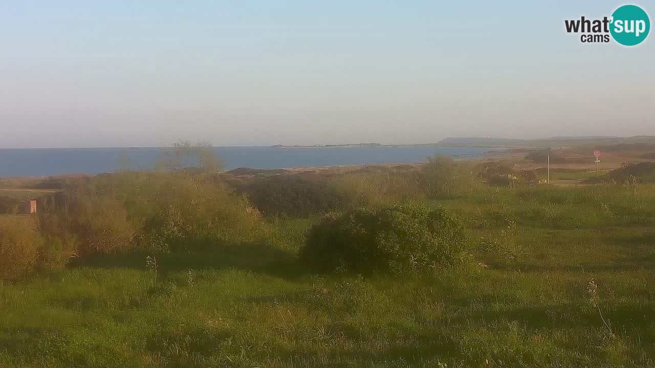 Playa Mari Ermi | Is Arutas – Oristano
