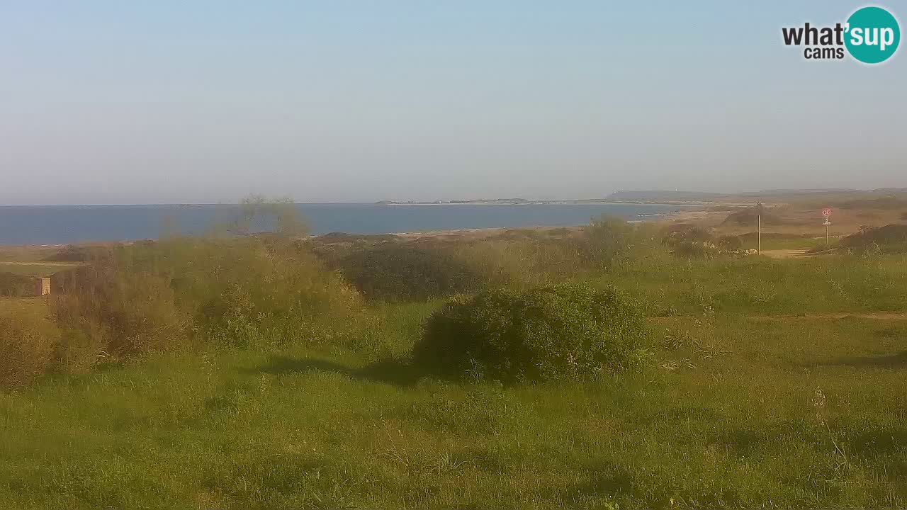 Plage Mari Ermi | Is Arutas – Oristano