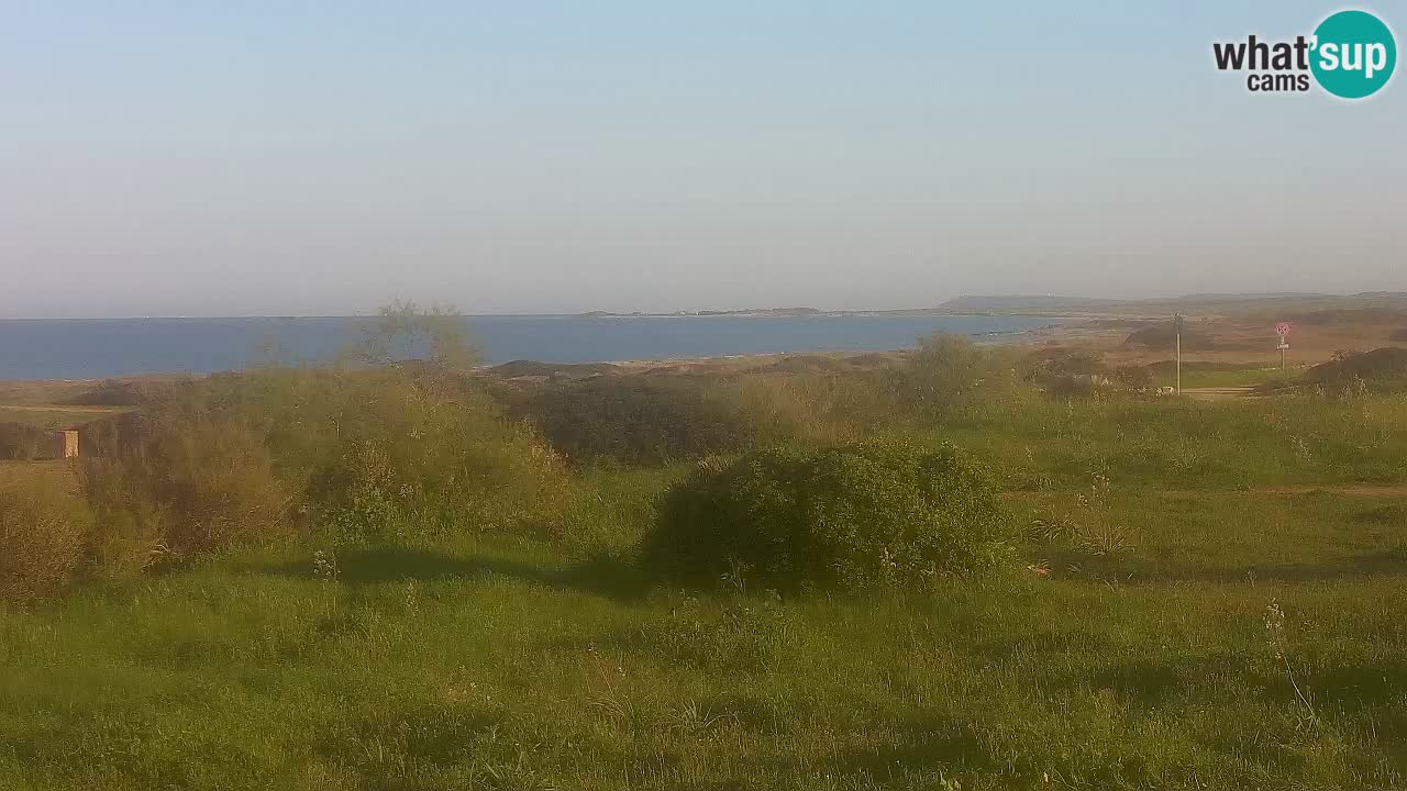 Plaža Mari Ermi | Is Arutas – Oristano