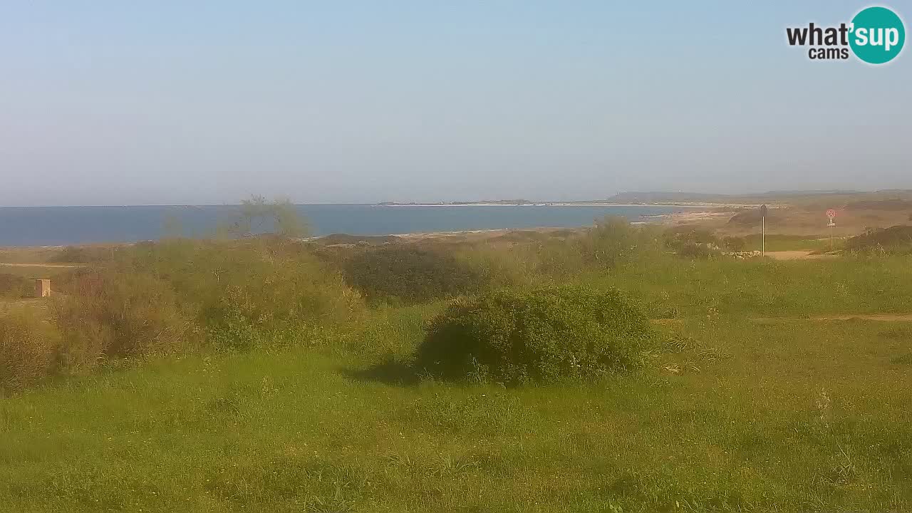 Plaža Mari Ermi | Is Arutas – Oristano