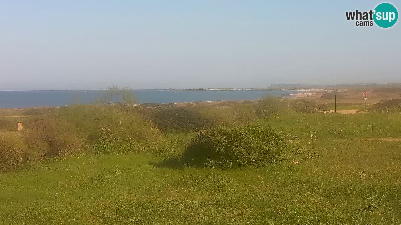 Plaža Mari Ermi | Is Arutas – Oristano