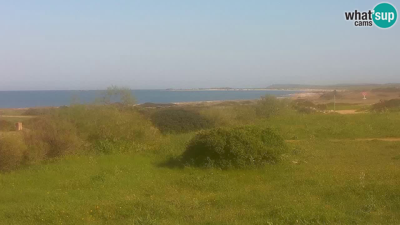 Plage Mari Ermi | Is Arutas – Oristano