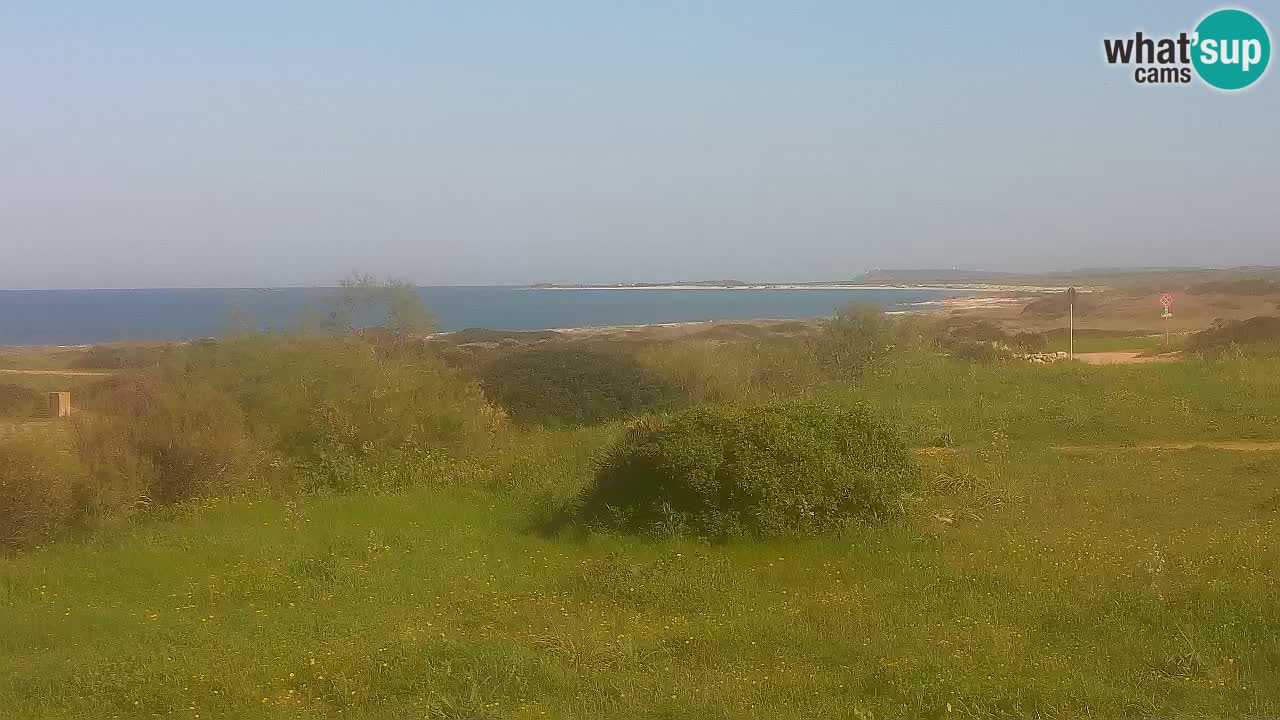 Spiaggia Mari Ermi | Is Arutas – Oristano