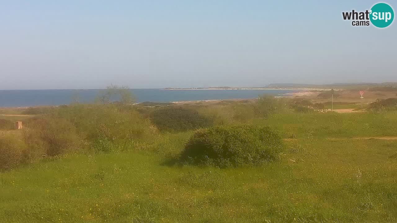 Plaža Mari Ermi | Is Arutas – Oristano