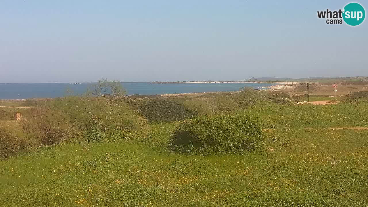 Mari Ermi beach | Is Arutas – Oristano