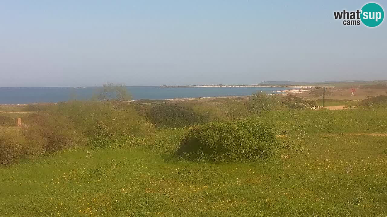Mari Ermi beach | Is Arutas – Oristano