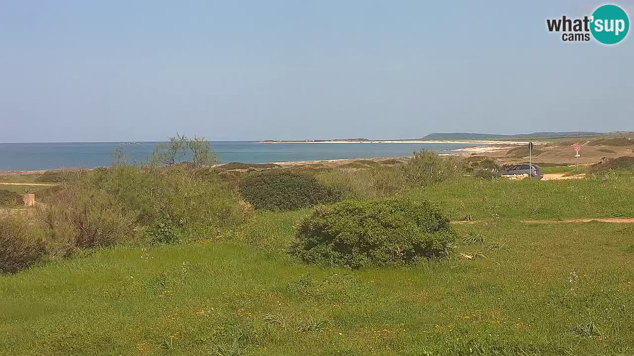 Plage Mari Ermi | Is Arutas – Oristano
