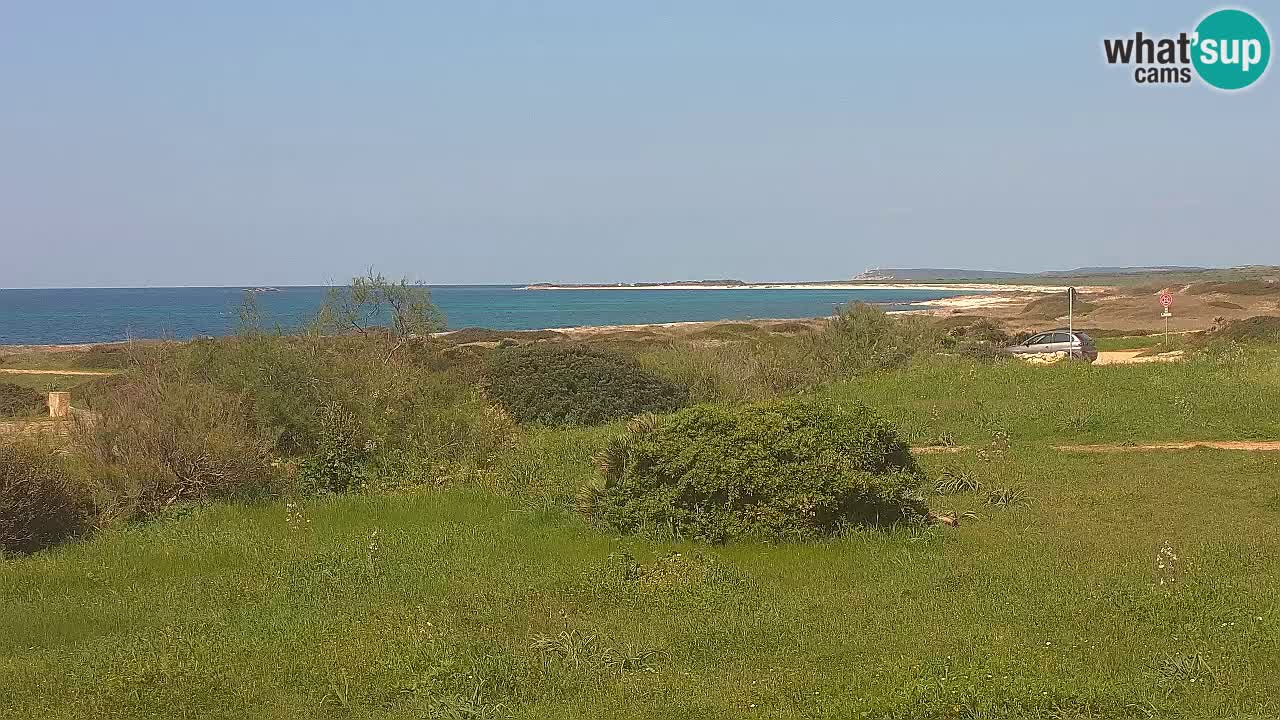 Plaža Mari Ermi | Is Arutas – Oristano
