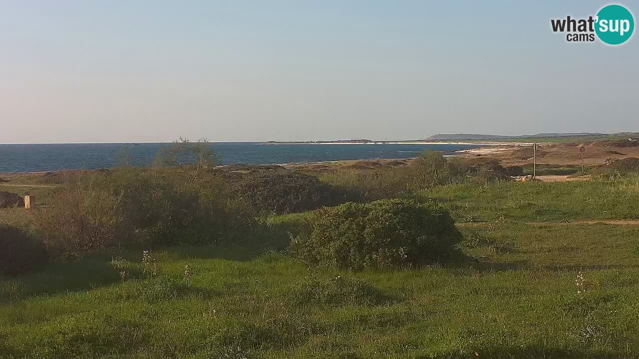 Mari Ermi beach | Is Arutas – Oristano