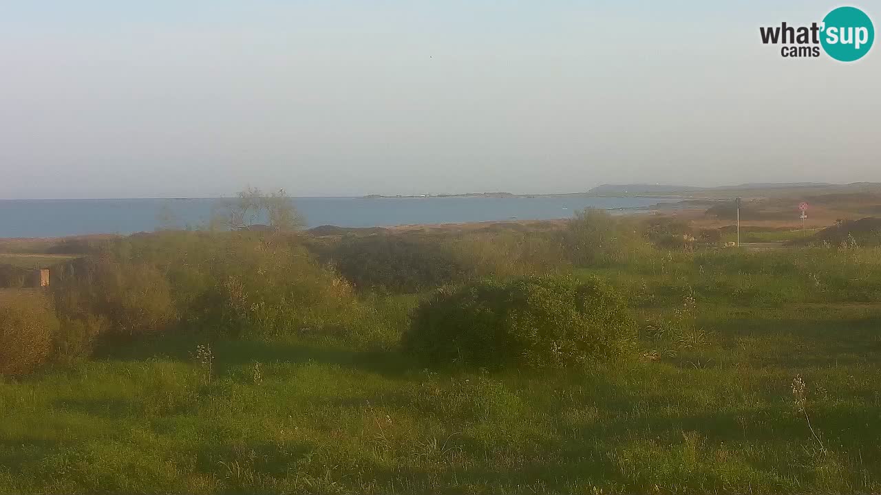 Plaža Mari Ermi | Is Arutas – Oristano