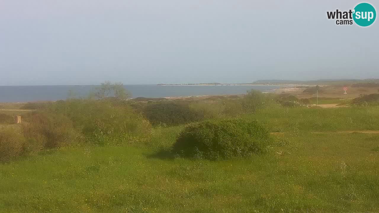 Plage Mari Ermi | Is Arutas – Oristano