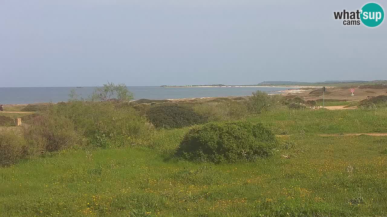 Plaža Mari Ermi | Is Arutas – Oristano