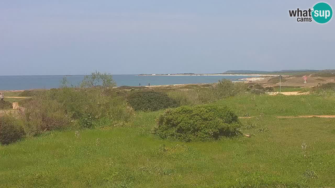 Spiaggia Mari Ermi | Is Arutas – Oristano