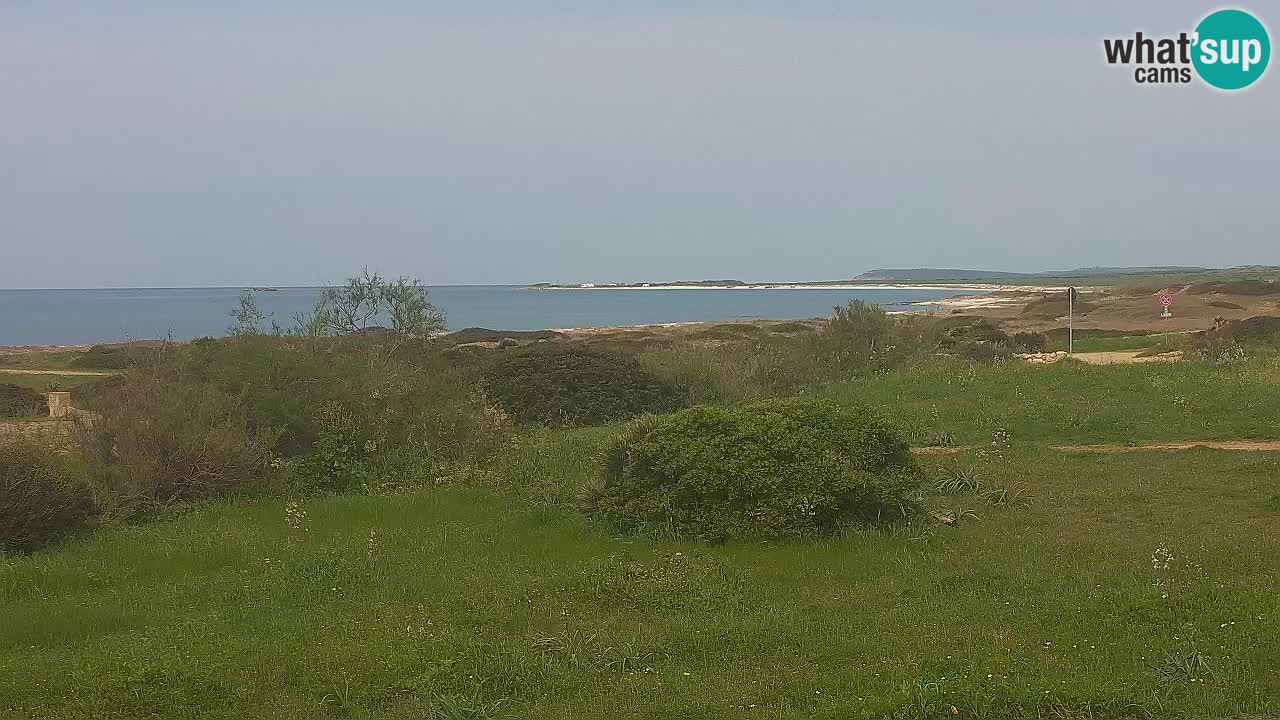 Mari Ermi Strand | Is Arutas – Oristano