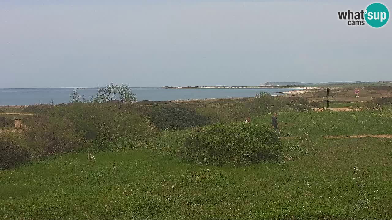 Mari Ermi Strand | Is Arutas – Oristano