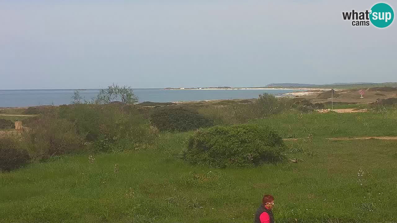 Spiaggia Mari Ermi | Is Arutas – Oristano