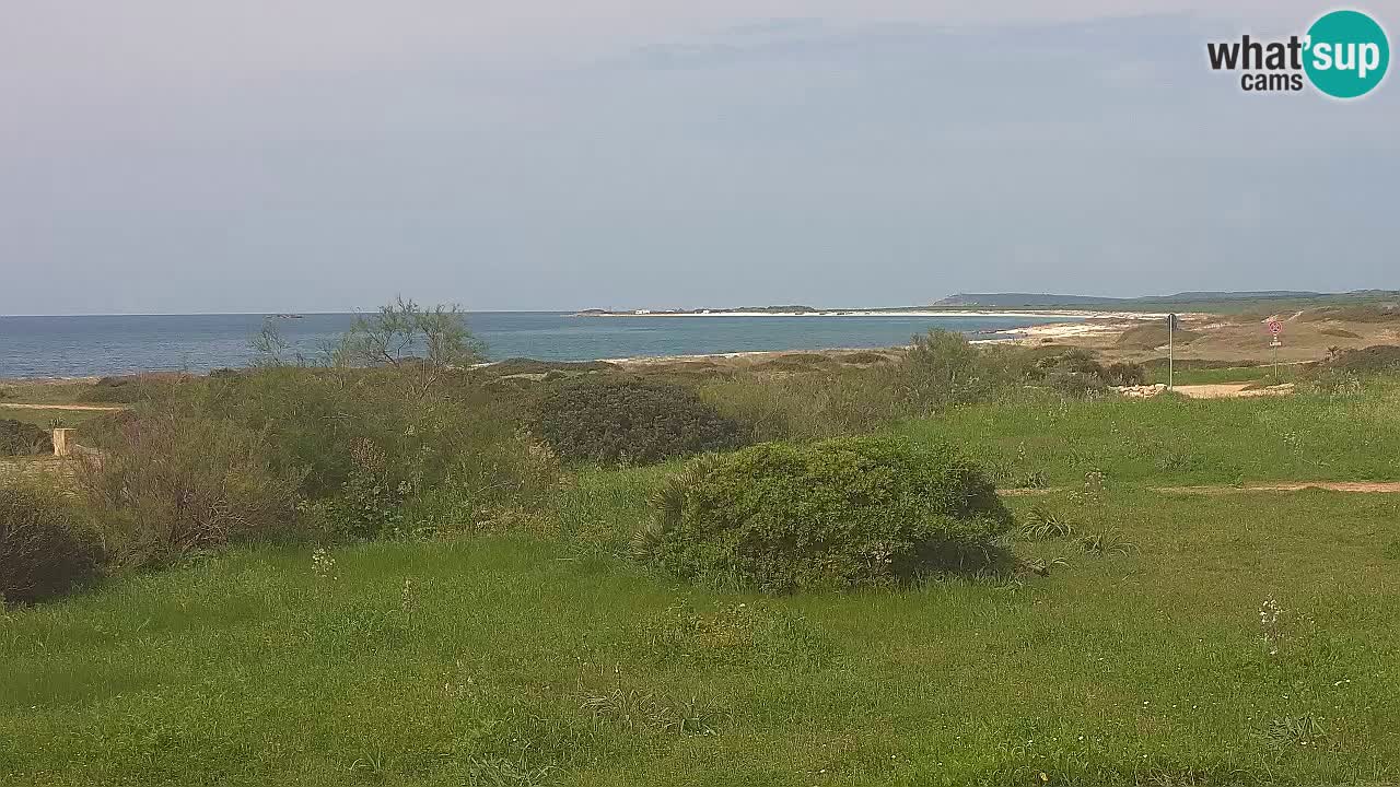 Plaža Mari Ermi | Is Arutas – Oristano