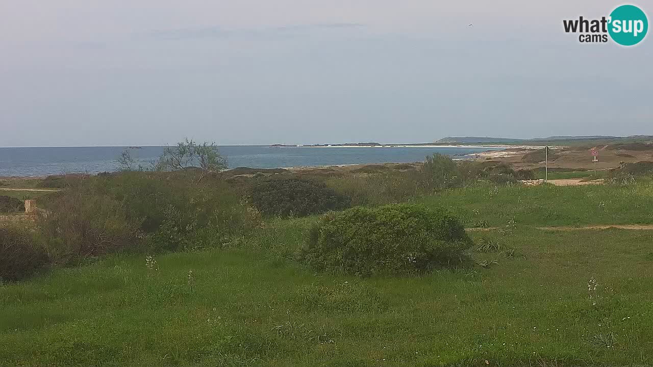 Playa Mari Ermi | Is Arutas – Oristano