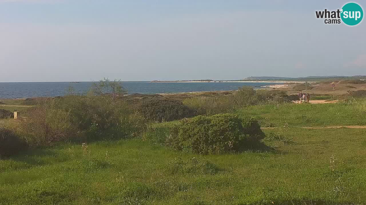 Mari Ermi Strand | Is Arutas – Oristano