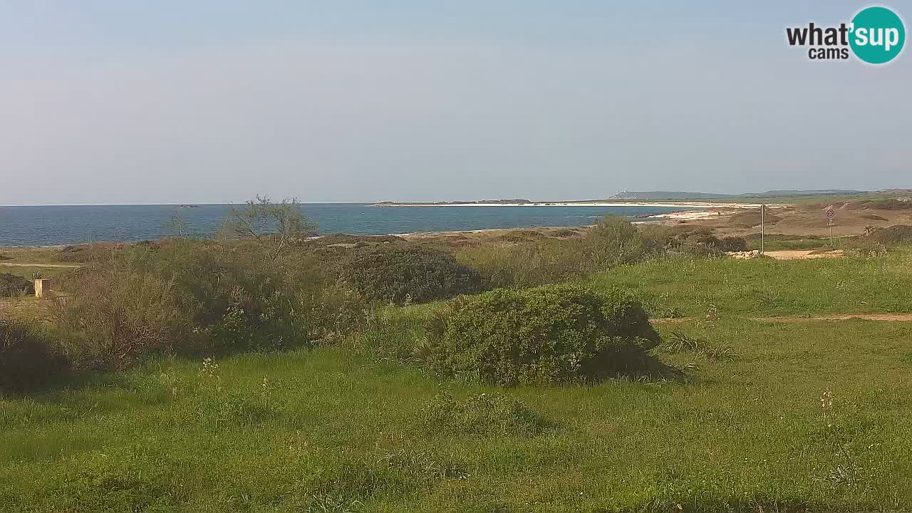 Mari Ermi beach | Is Arutas – Oristano