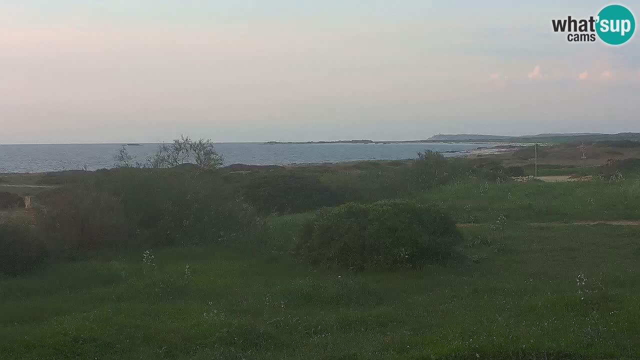 Plaža Mari Ermi | Is Arutas – Oristano