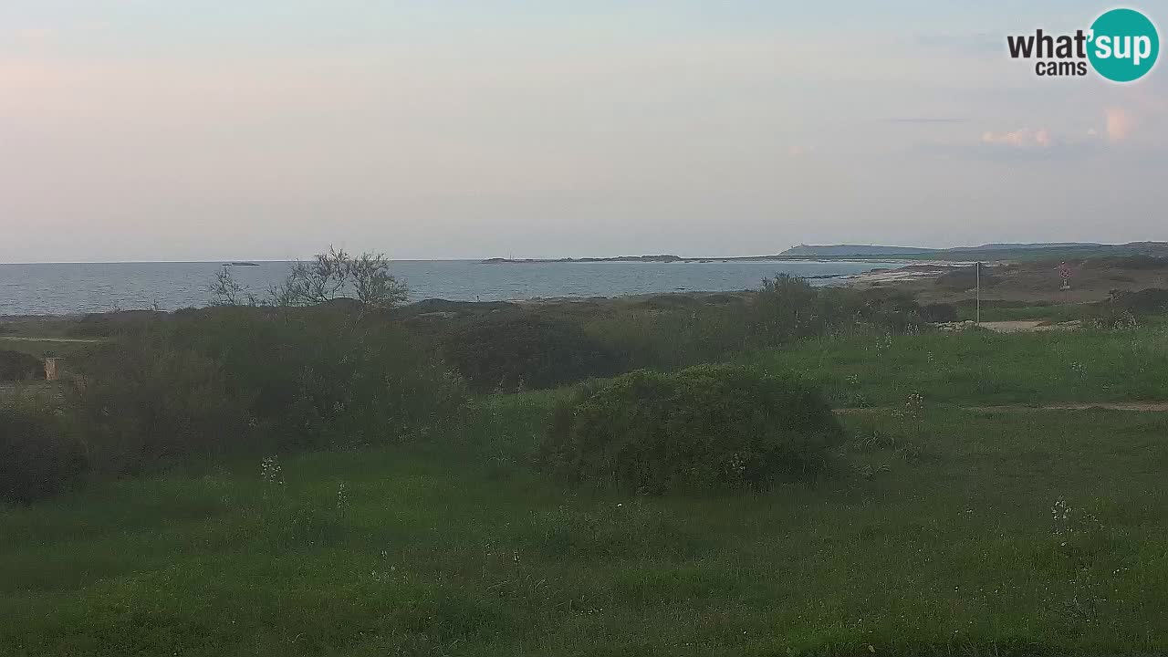 Mari Ermi Strand | Is Arutas – Oristano