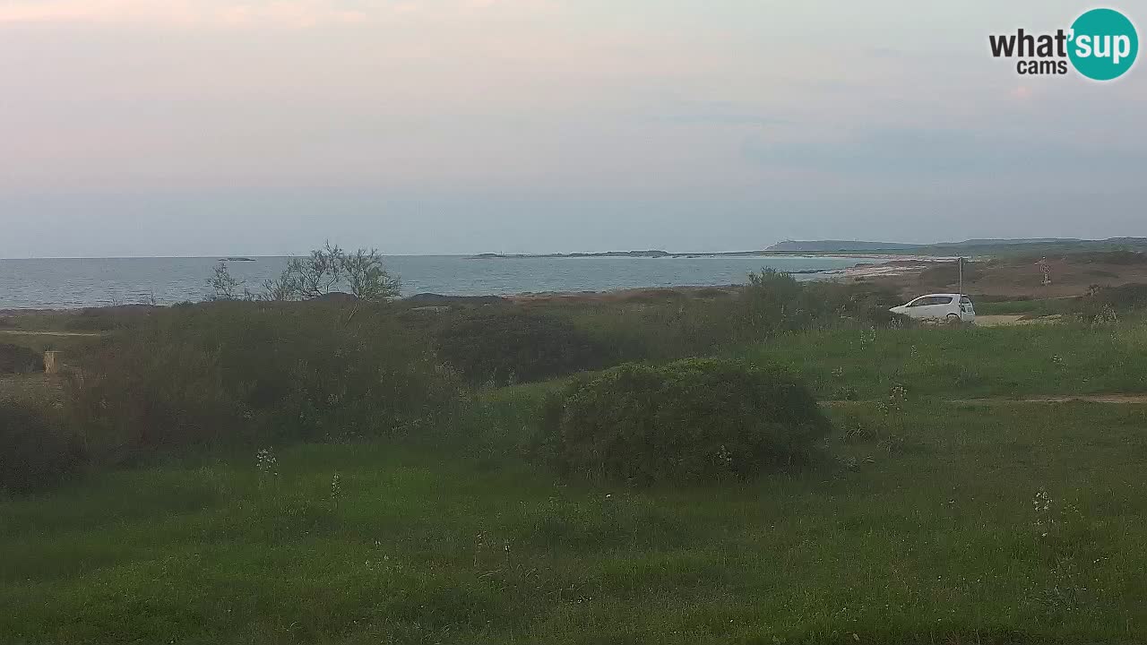 Mari Ermi Strand | Is Arutas – Oristano