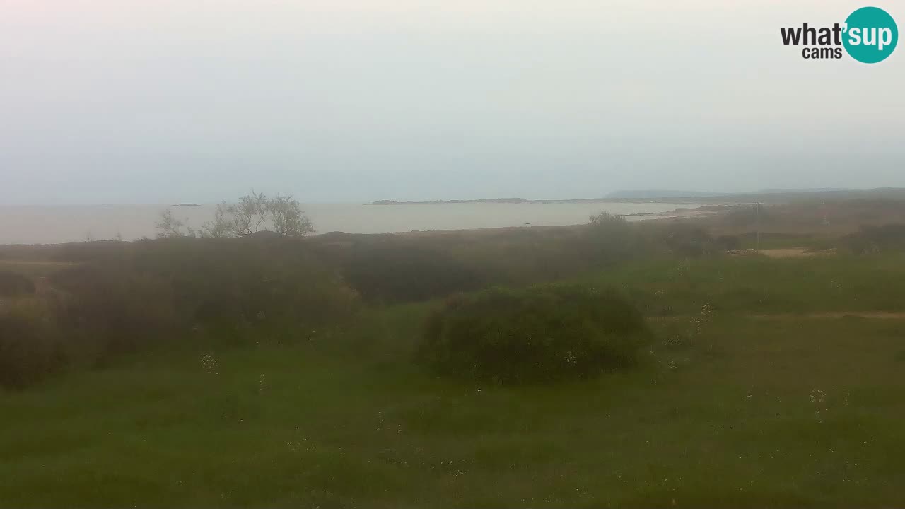 Mari Ermi Strand | Is Arutas – Oristano