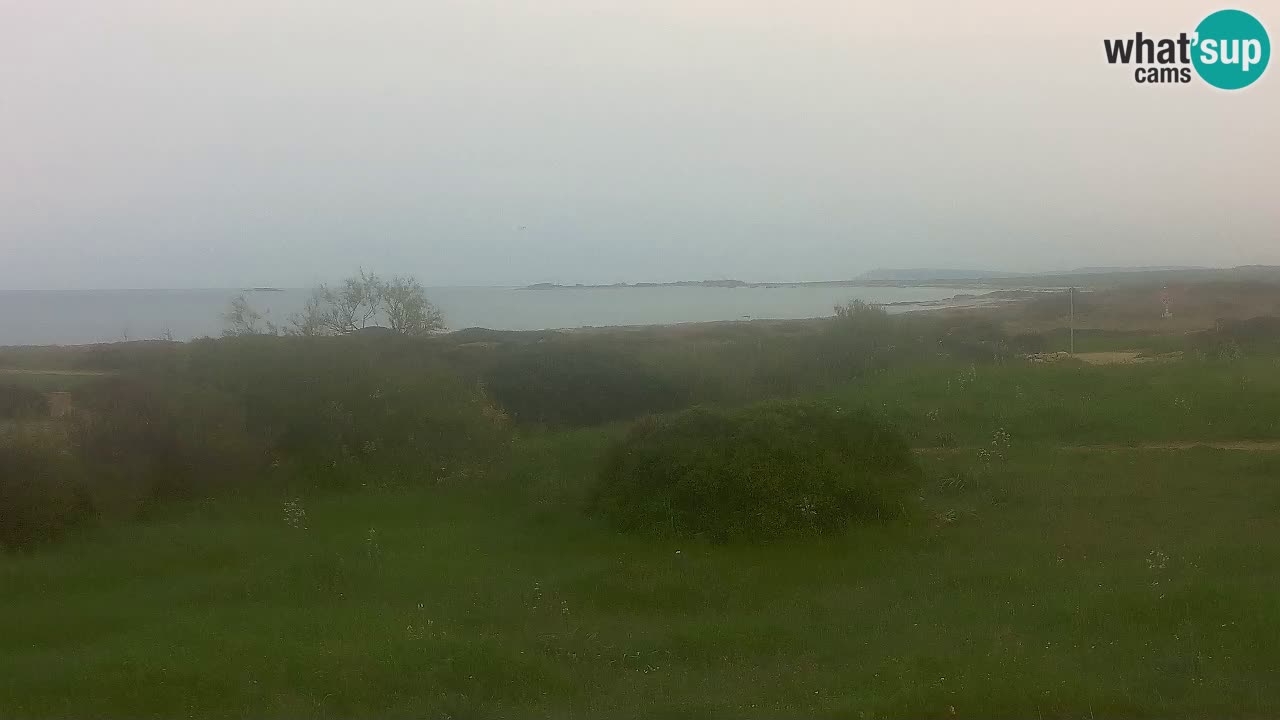 Playa Mari Ermi | Is Arutas – Oristano