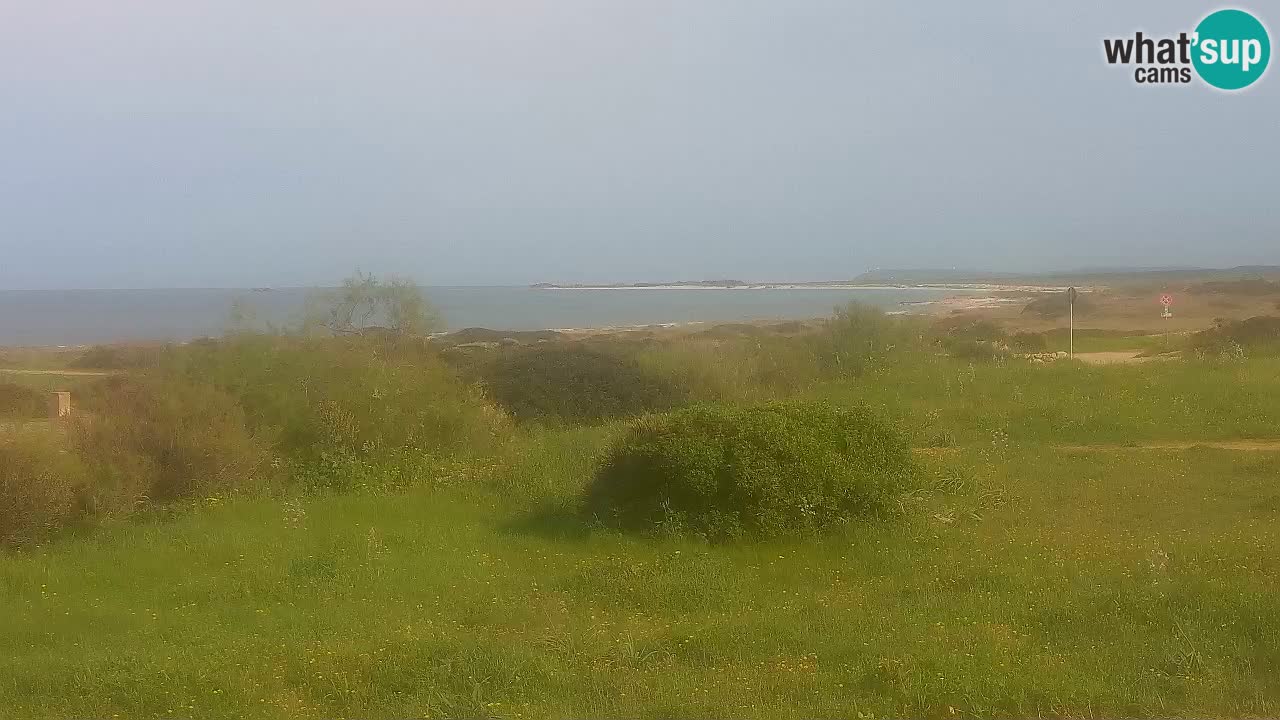 Playa Mari Ermi | Is Arutas – Oristano