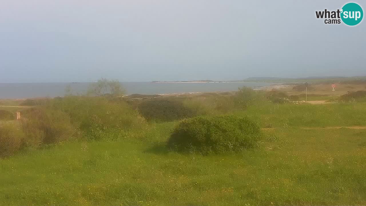 Mari Ermi beach | Is Arutas – Oristano