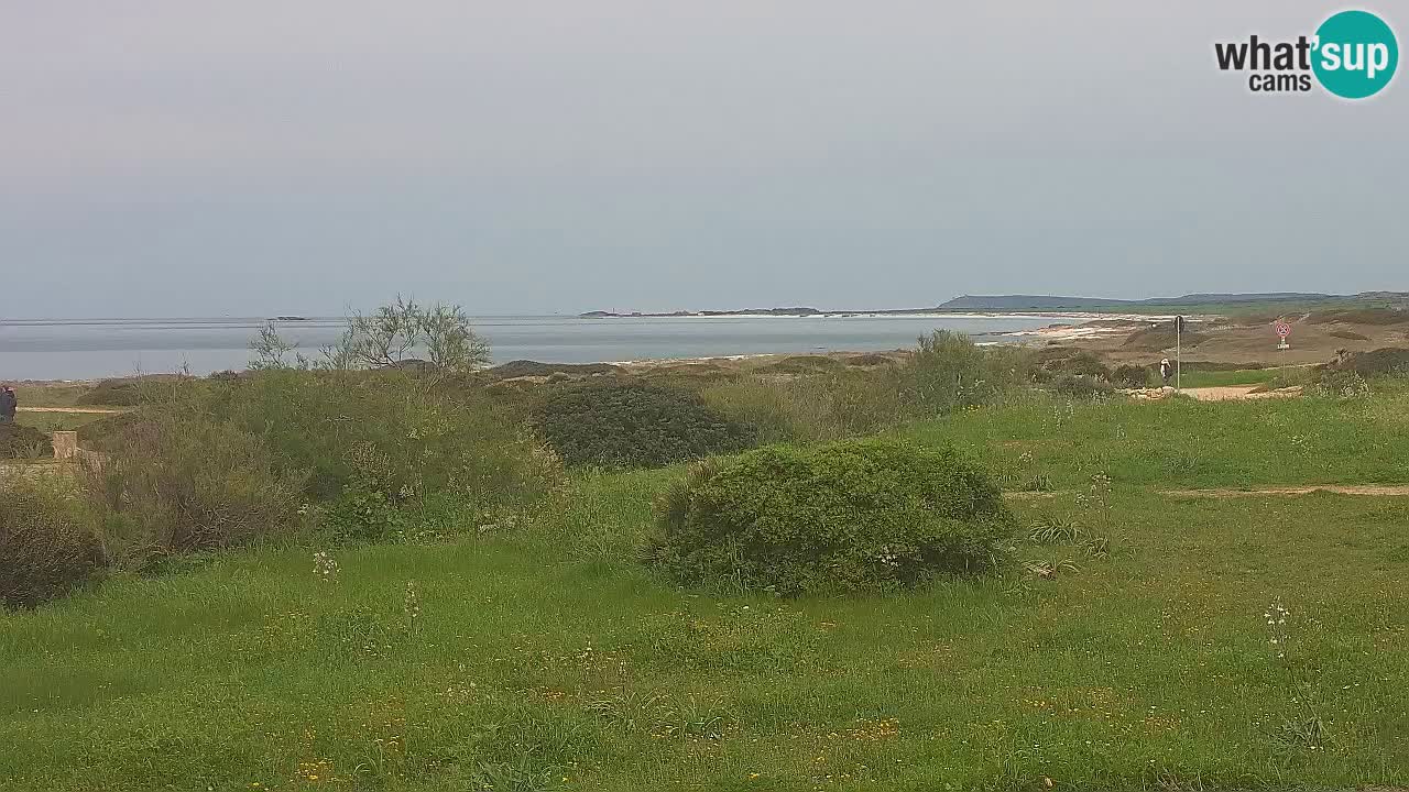 Plaža Mari Ermi | Is Arutas – Oristano