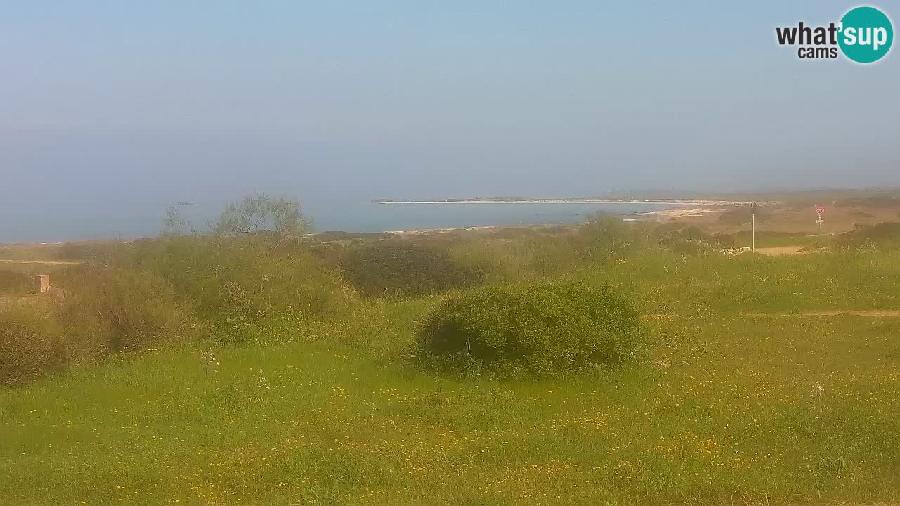 Mari Ermi Strand | Is Arutas – Oristano