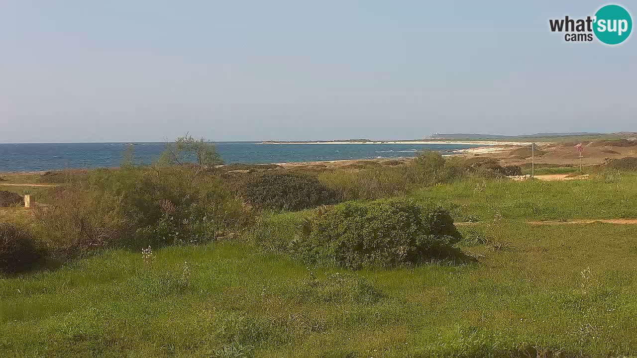 Playa Mari Ermi | Is Arutas – Oristano