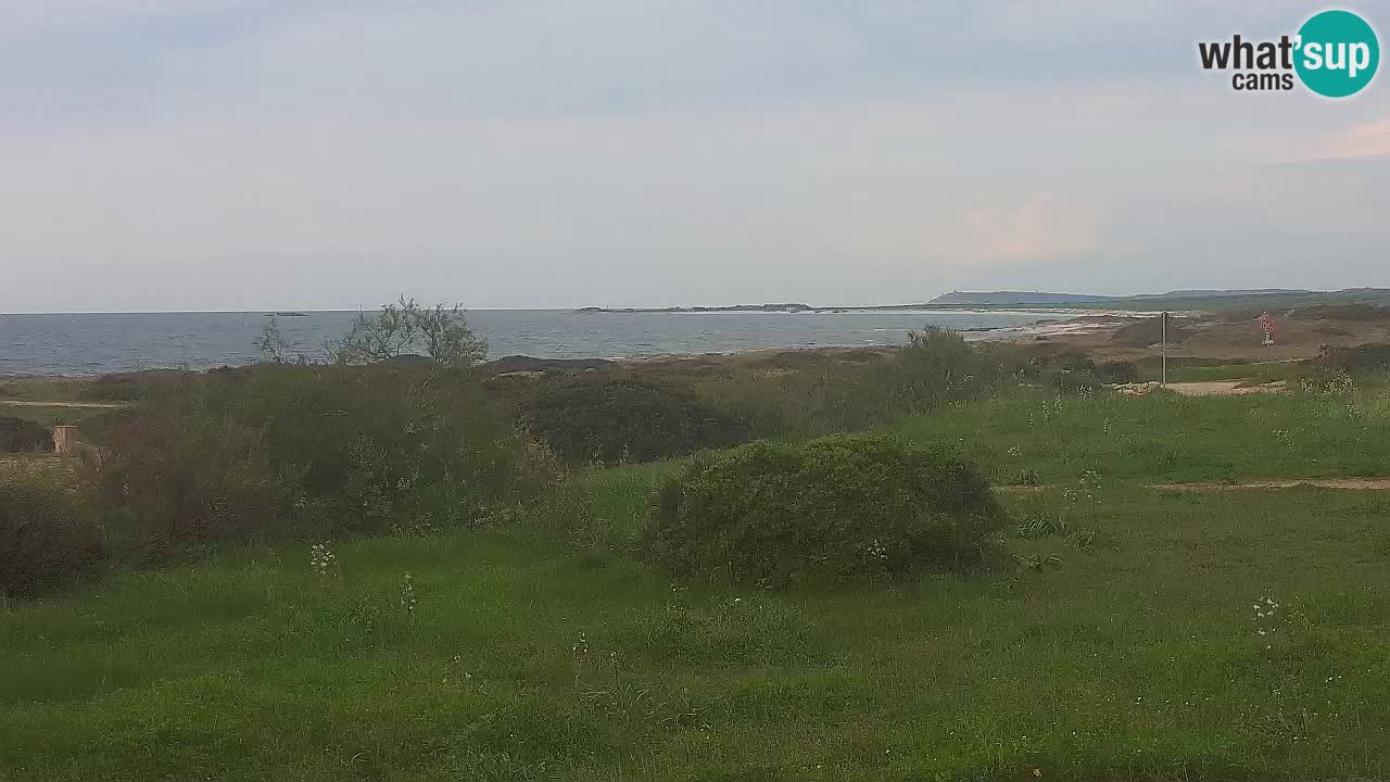 Playa Mari Ermi | Is Arutas – Oristano