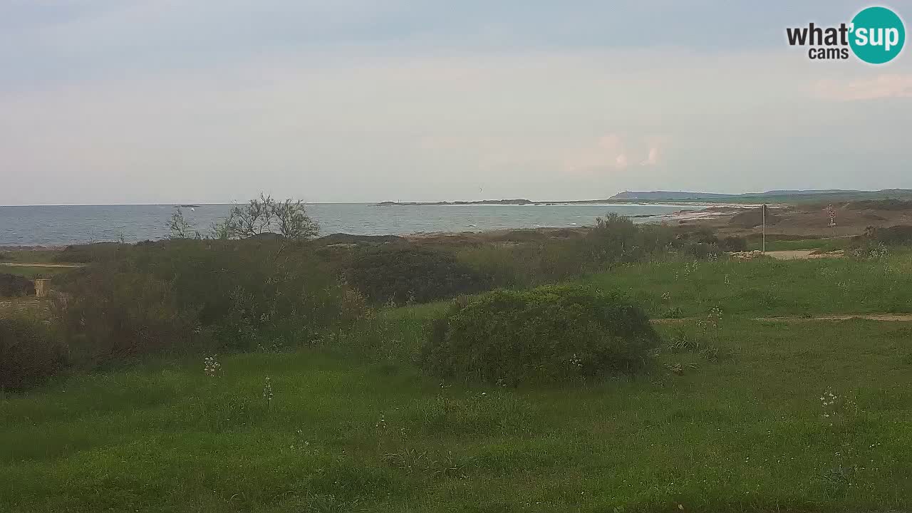 Mari Ermi beach | Is Arutas – Oristano