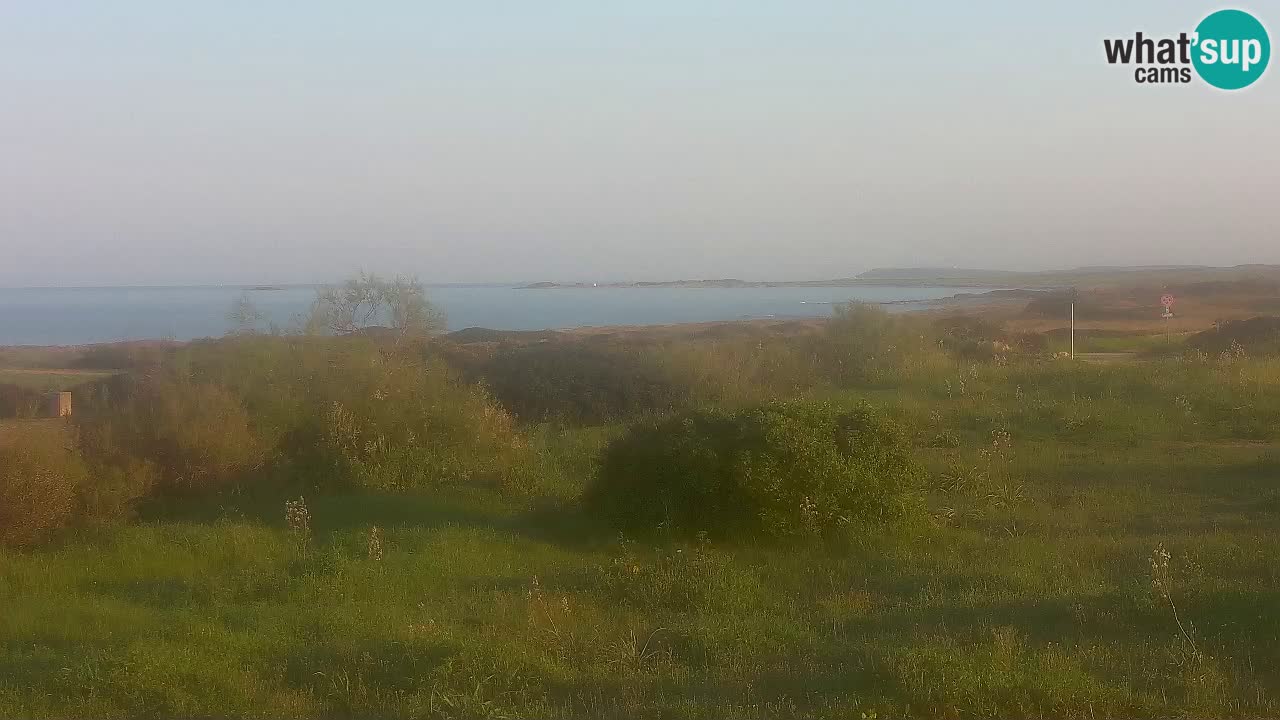 Mari Ermi Strand | Is Arutas – Oristano