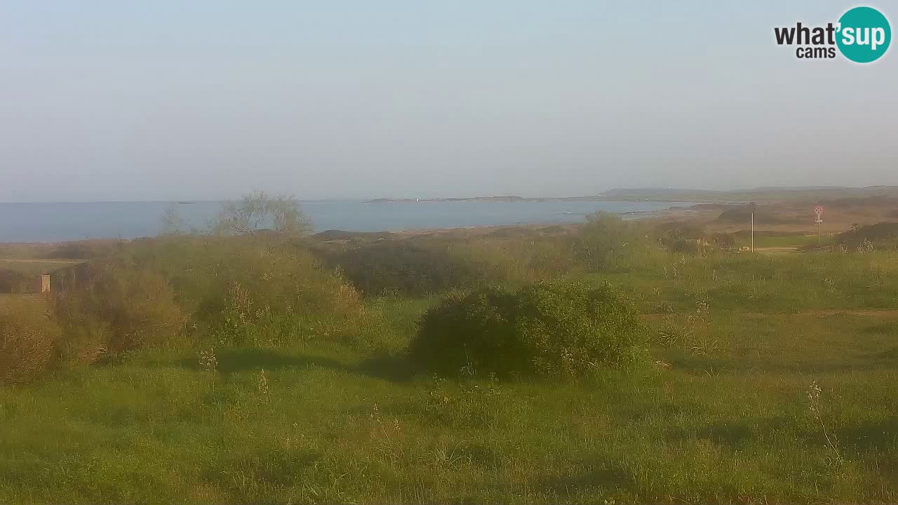 Spiaggia Mari Ermi | Is Arutas – Oristano