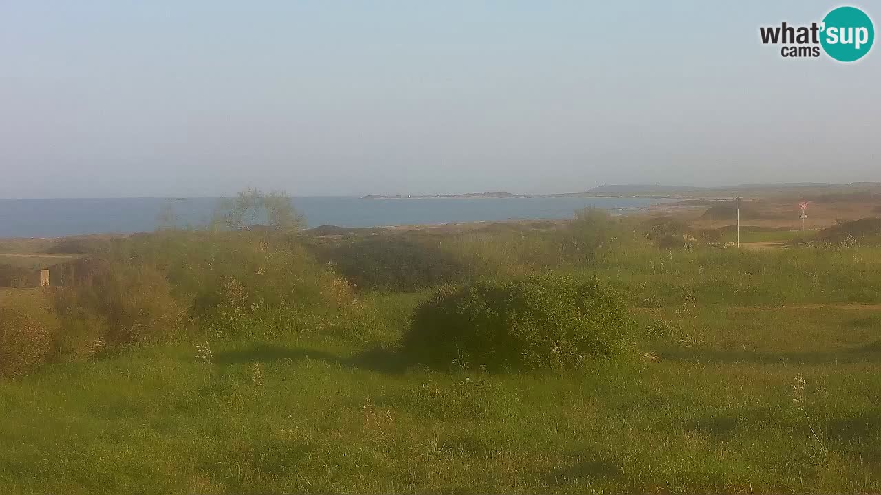 Plaža Mari Ermi | Is Arutas – Oristano