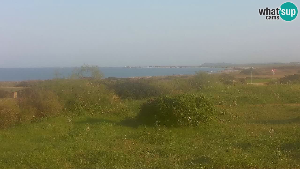 Mari Ermi Strand | Is Arutas – Oristano