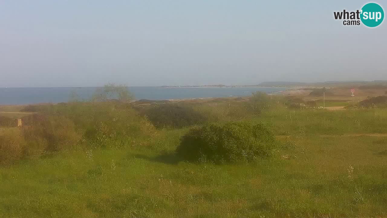 Plaža Mari Ermi | Is Arutas – Oristano