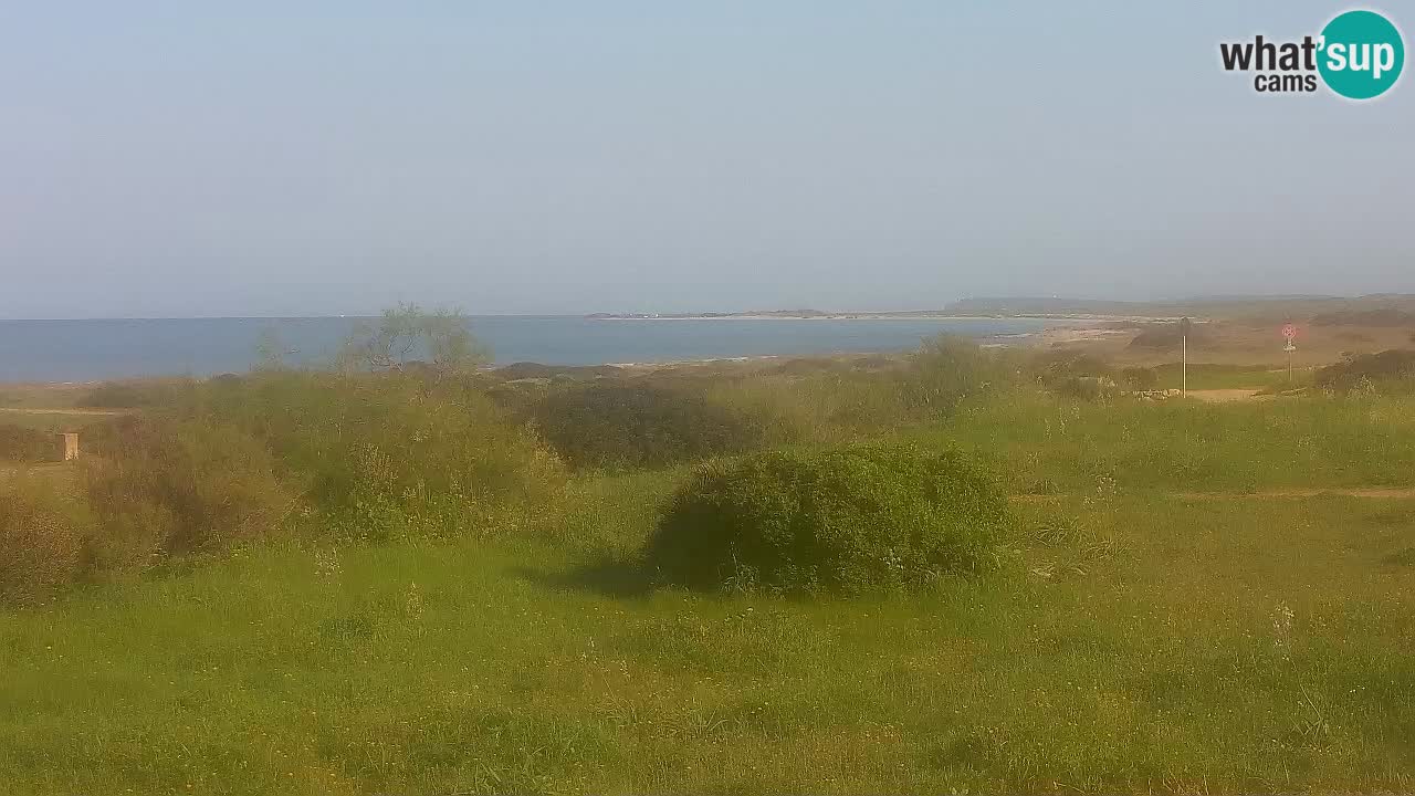 Plaža Mari Ermi | Is Arutas – Oristano