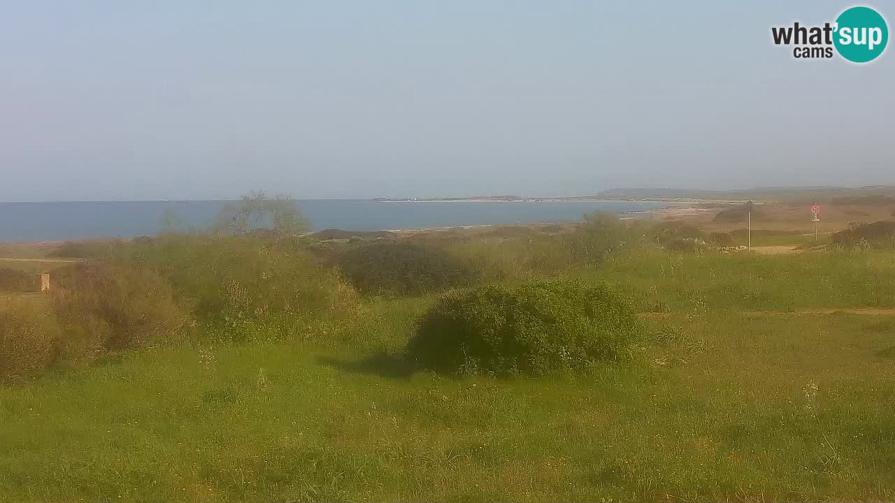 Plage Mari Ermi | Is Arutas – Oristano