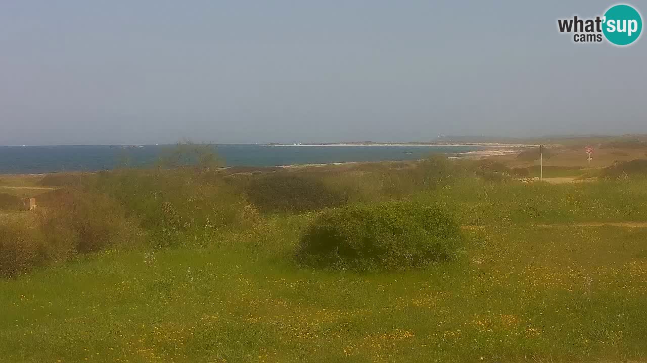 Spiaggia Mari Ermi | Is Arutas – Oristano