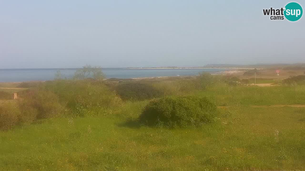 Mari Ermi beach | Is Arutas – Oristano