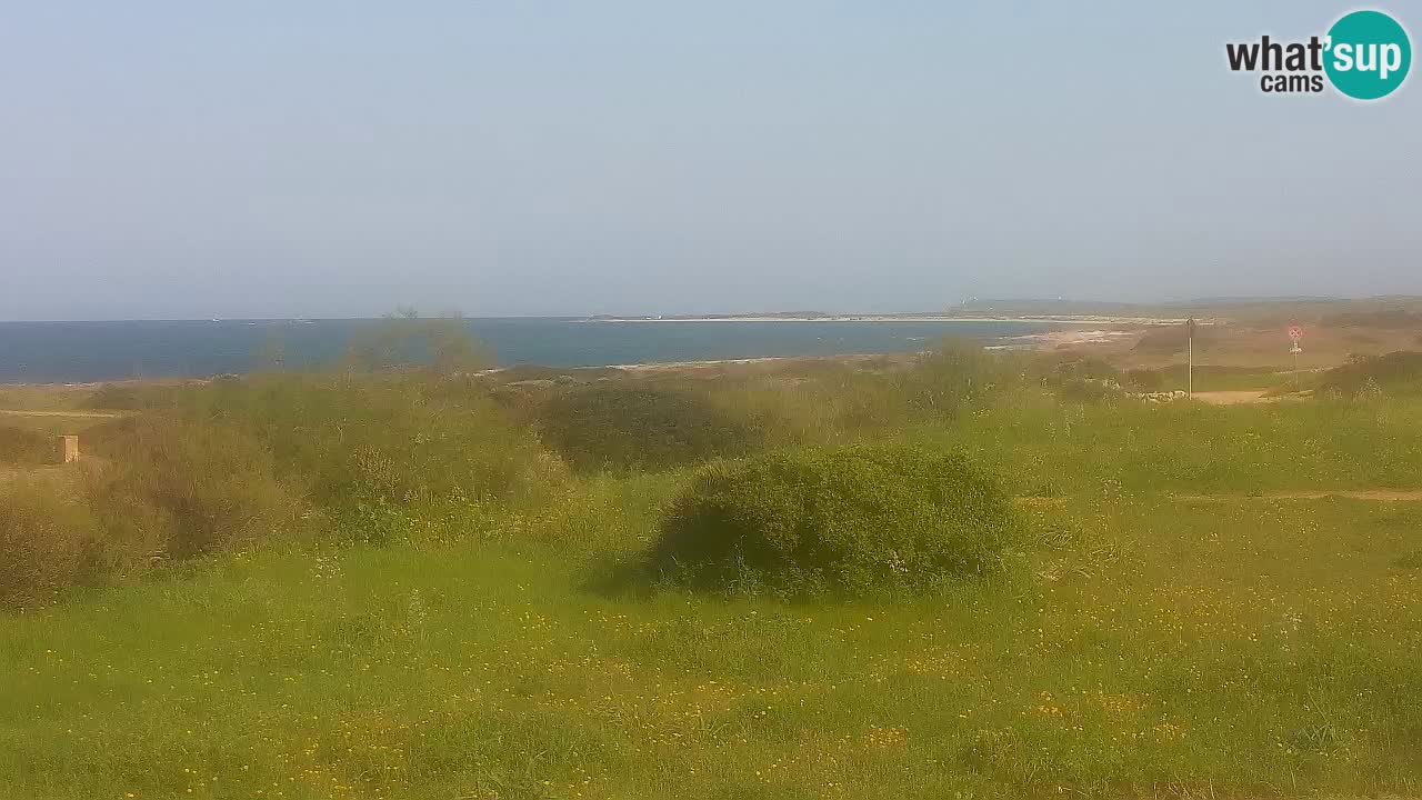 Spiaggia Mari Ermi | Is Arutas – Oristano