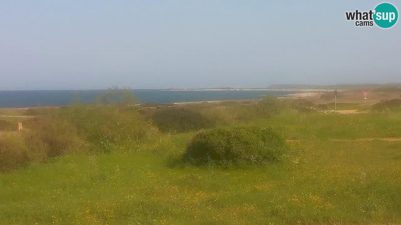 Plaža Mari Ermi | Is Arutas – Oristano