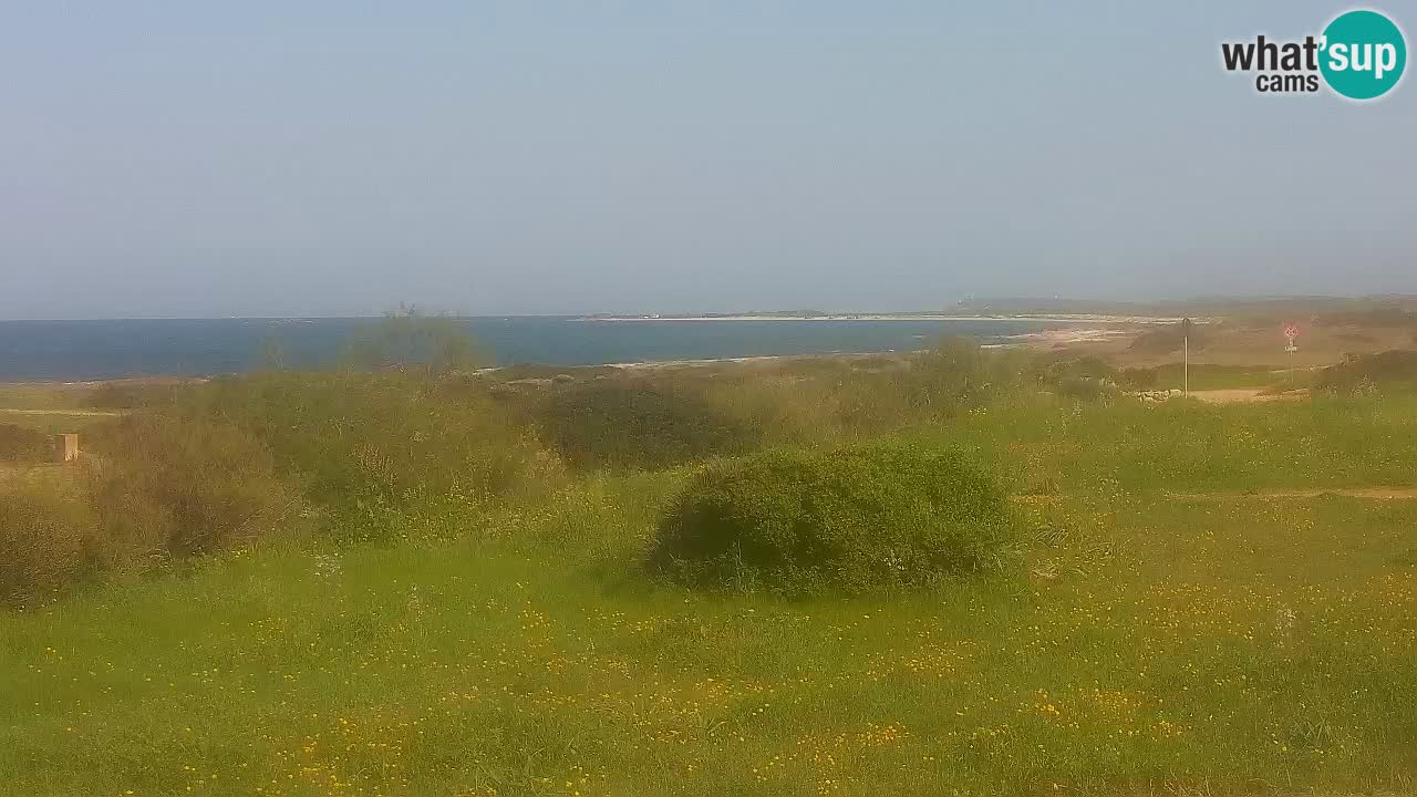 Mari Ermi Strand | Is Arutas – Oristano