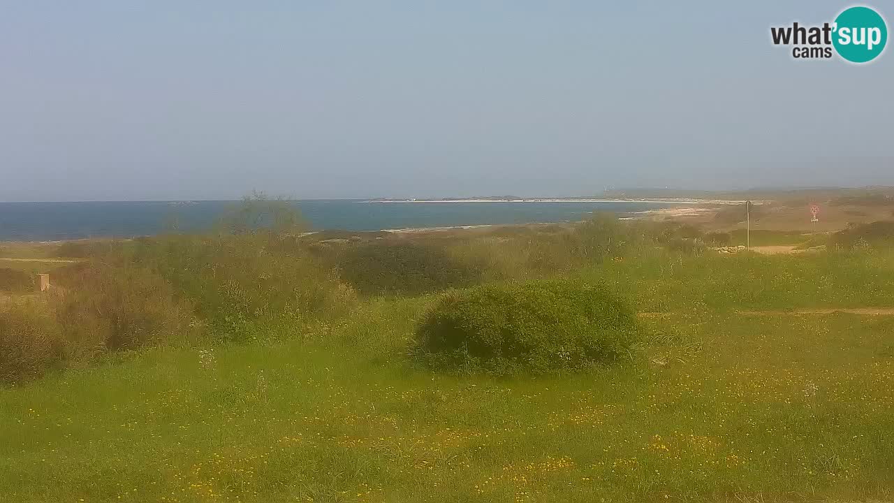 Plage Mari Ermi | Is Arutas – Oristano